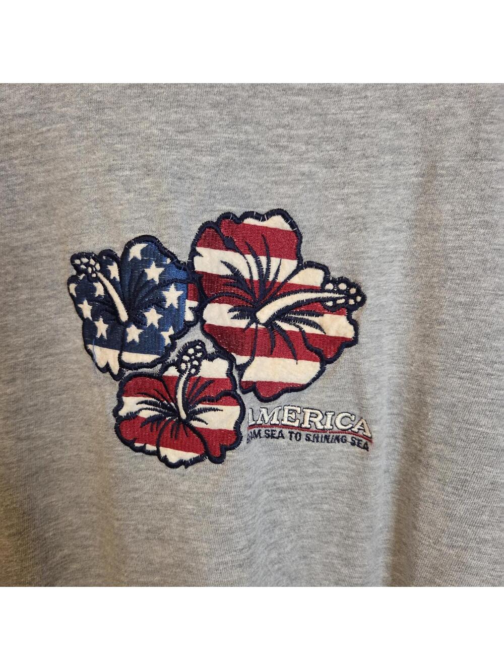 Spirit of America Gray Americana Graphic T-Shirt Short Sleeve July 4th 'Merica